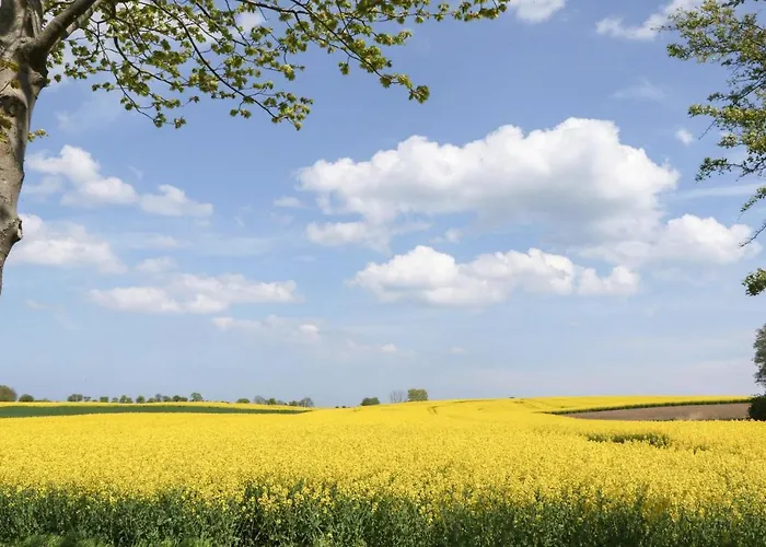 Ferienhaus Seewolke 2